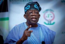Criticise Government Policies With Knowledge, Fairness, President Bola Tinubu Tells Editors