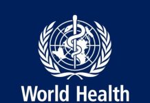 Tuberculosis Killed 1.23 Million In 2024 — World Health Organization