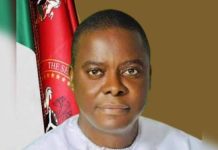 Enugu Senator Okey Ezea Dies