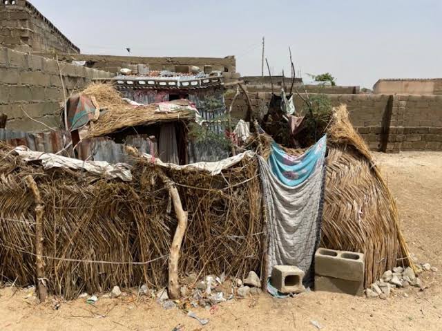 images - 2025-11-25T110906.131