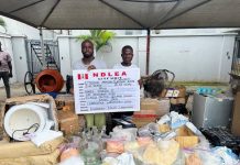National Drug Law Enforcement Agency arrests wanted drug kingpin and dismantles synthetic drug laboratory in Lagos