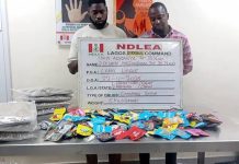 National Drug Law Enforcement Agency Uncovers Drugs Packaged as Christmas Cookies, Arrests Suspects