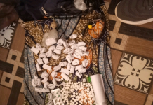 Police nab 17 suspects, recover illicit drugs in Jigawa