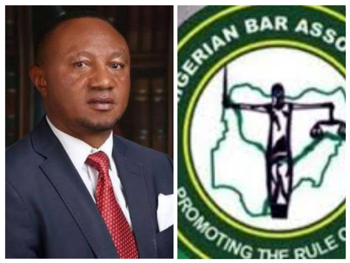 20251213_222057-COLLAGE