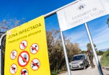 African swine fever outbreak in Spain may have leaked from research lab, officials say