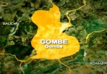 Police bust kidnapping syndicate in Gombe