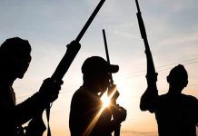 Gunmen abduct LG vice chairman, two councillors in Borno