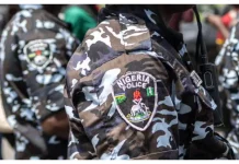 Yobe police foil Boko Haram attack on Gujba station