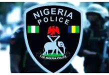 Police arrest six suspected cult members in Enugu