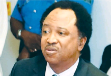 Shehu Sani welcomes action, cautions on foreign dependence