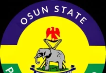 Police arrest man with unlicensed guns, seize firearms in Osun