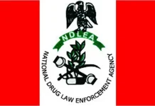 National Drug Law Enforcement Agency seizes 7.6 million tramadol pills and 76,273 kilograms of cannabis in Delta State and other locations