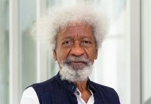 Wole Soyinka decries Seyi Tinubu’s ‘excessive’ security escort