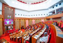 Senate Urges Emergency Support For Farmers Amid Collapse Of Produce Prices