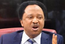US visa restrictions: Shehu Sani urges Nigerians to focus on rebuilding Nigeria