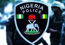 Eight Killed In Kebbi Attacks, Police Launch Manhunt