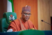 Speaker of the House of Representatives tasks African parliaments on unity in global politics