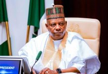 Nigeria Remains Committed To Regional Stability, Peace – Vice President Kashim Shettima