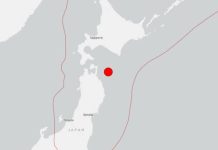 Magnitude 7.6 Quake Strikes Off Japan, Triggering Tsunami Warning