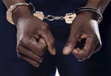 Police Arrest Female Ammunition Courier, Kidnap Suspect, Others In Niger State