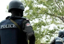20 suspected cultists arrested for killing policeman, cutting off hand in Ogun