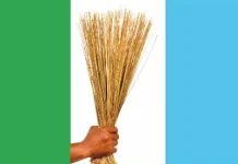 Scores of opposition leaders defect to All Progressives Congress in Edo LG