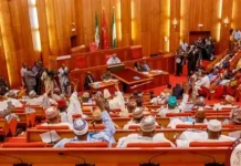 Senate demands accountability in use of public funds