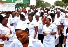 Nigerian Nurses’ Group Lauds Sowore’s Court Victory, Says Judgment Restored Hope For Citizens