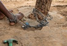 Police arrest man who chained son for 17 years in Bauchi